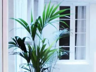 La Isla Guest house